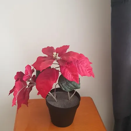 Apartament Ev Izmir